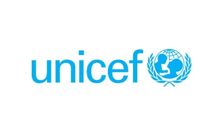 National / International Consultant
