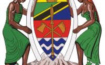 728 Government Jobs Published via Ajira Portal