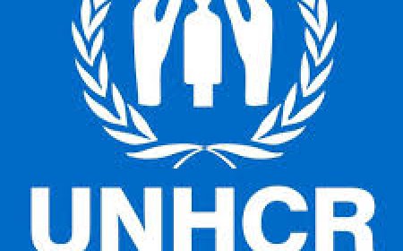 Associate WASH Officer at UNHCR July 2026