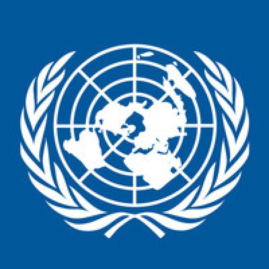 Electrotechnical Technician – Individual Contractor at IRMCT July 2026