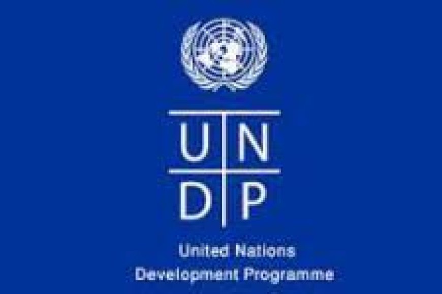 Digital Payments Specialist at UNDP July 2026