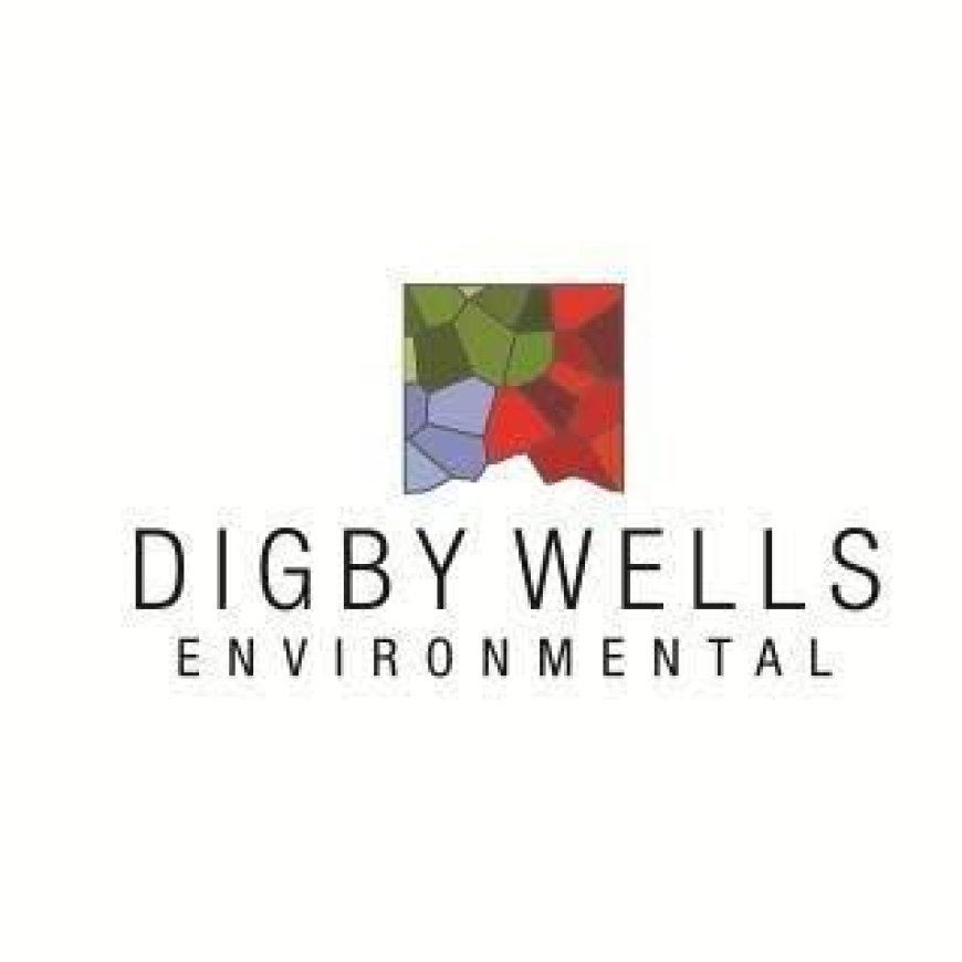 HR and Talent Coordinator Job Opportunity at Digby Wells Environmental | July 2026