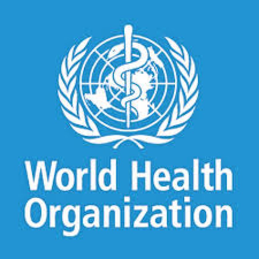 National Consultant to Support Finalization of The Health Sector National Adaptation Plan (H-Nap) at WHO July 2026