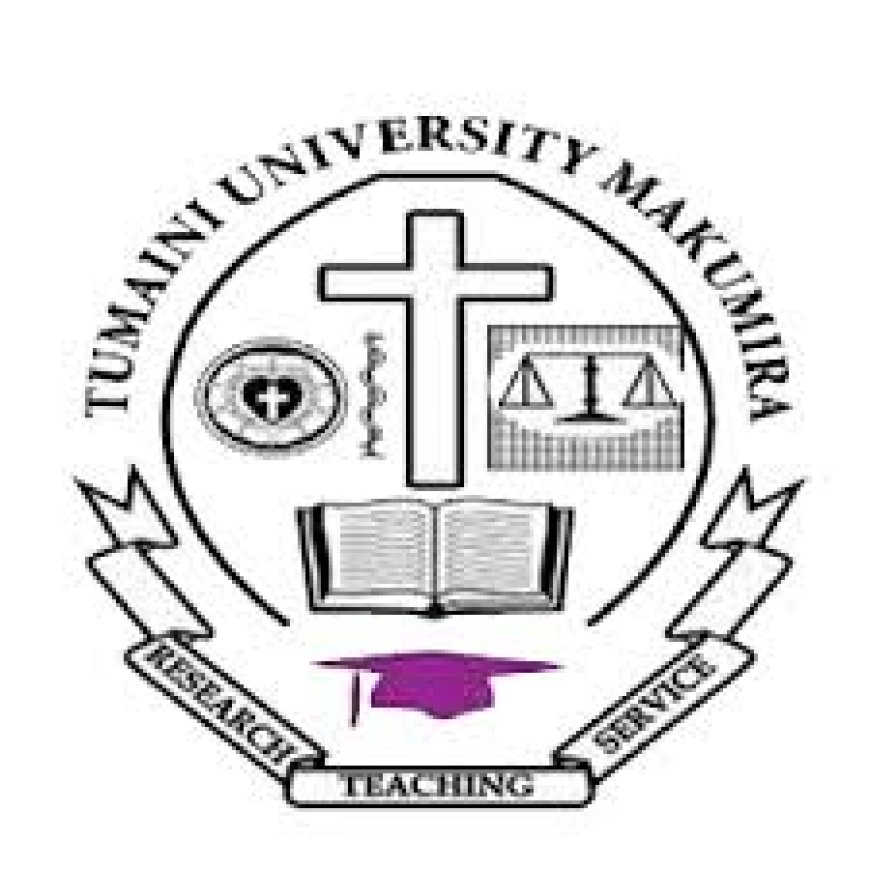 Assistant Accountant job at Tumaini University Makumira July 2026
