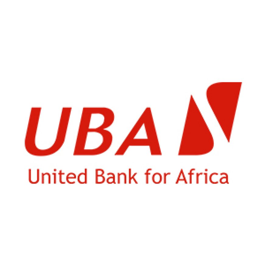 Credit Analyst at United Bank for Africa July 2026