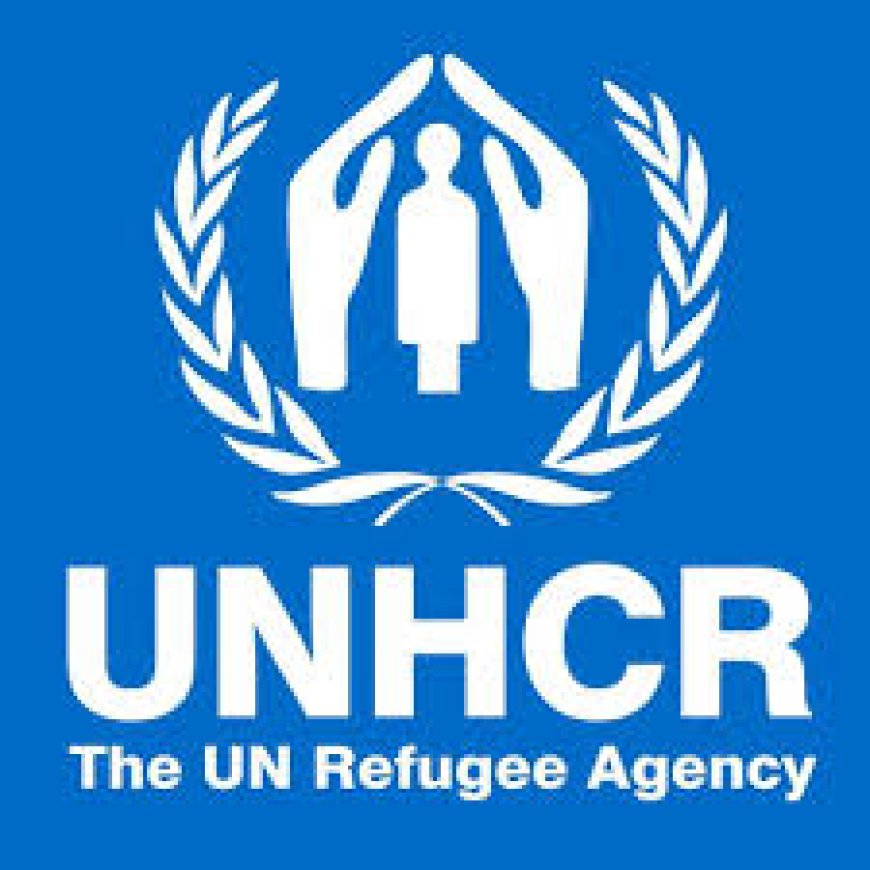 Associate WASH Officer at UNHCR July 2026