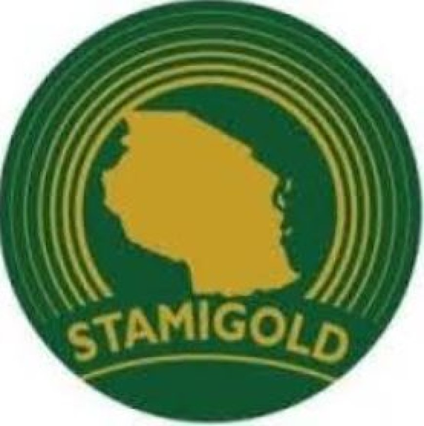 Data Clerk at STAMIGOLD (July 2026)