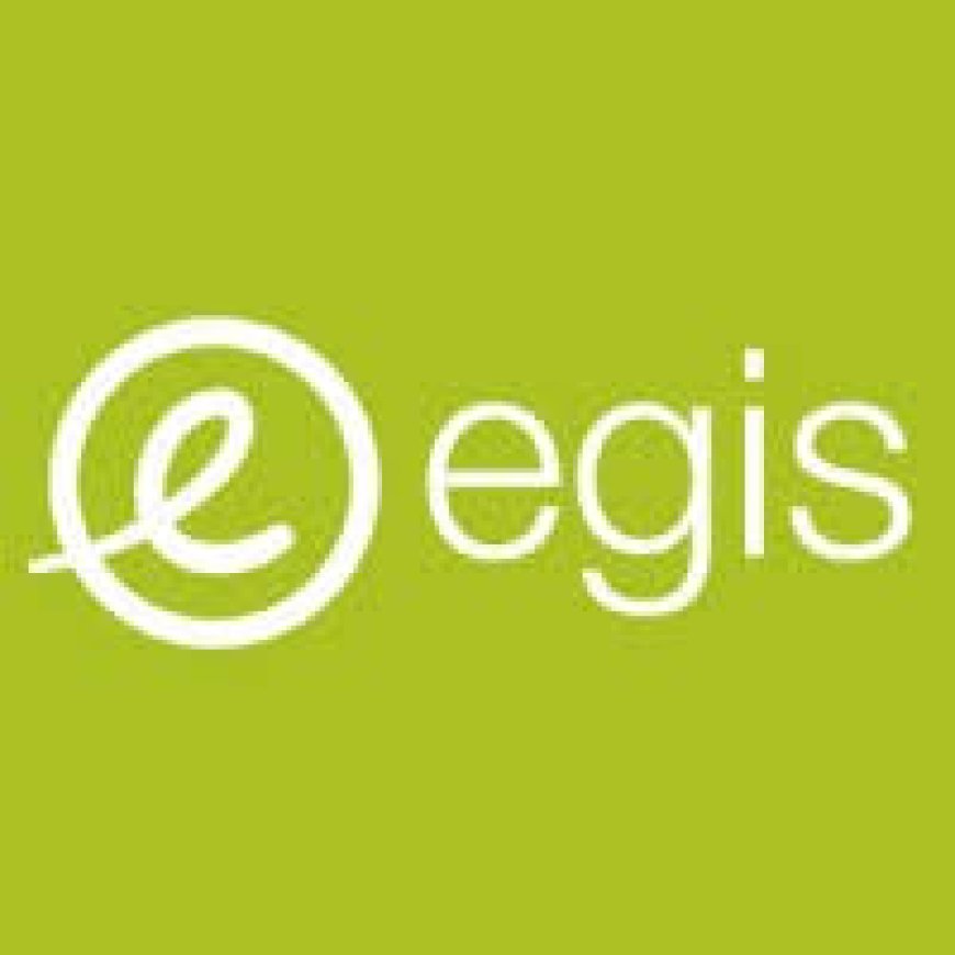 Chief Information Officer at Egis Tanzania (July 2026)