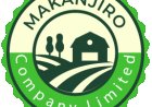 Makanjiro Company Job Vacancy — Office Attendant