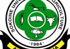 Receptionist at SUA Investment Company — August 2026