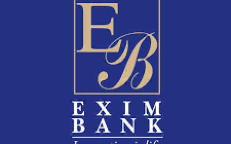 Exim Bank Tanzania Job Vacancy — Relationship Manager