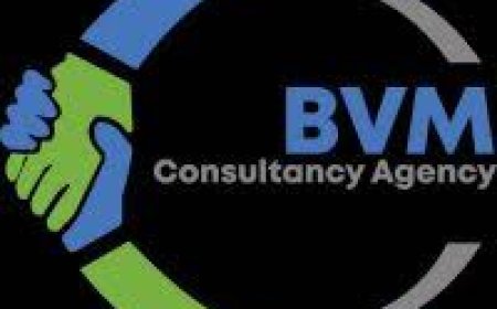 BVM Consultancy Job Vacancy — Sales Engineer | August 2026