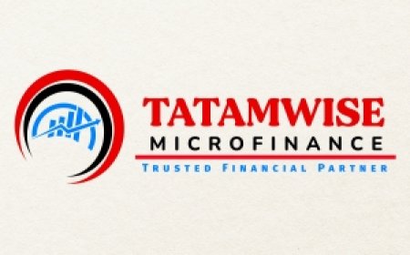 Credit Officers (2 Positions) at Tatamwise Microfinance Limited – August 2026