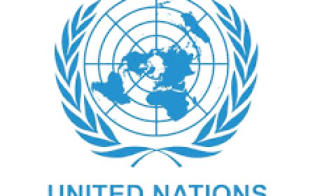 United Nations Job Vacancies, 5 Positions | August 2026