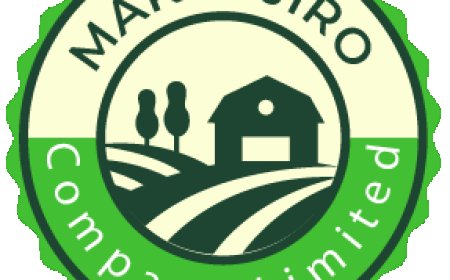 Makanjiro Company Job Vacancy — HR & Administration Officer