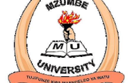Mzumbe University Job Vacancies, 2 Positions – August 2026