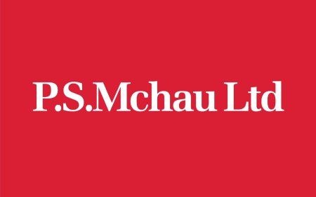 Sales Development Representative (2 Posts) at P.S. Mchau Co. Ltd — August 2026