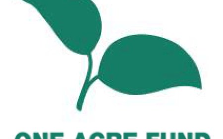 Tree Specialist at One Acre Fund — August 2026