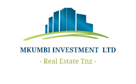 Accountant Job Vacancy at Mkumbi Investment Company — August 2026