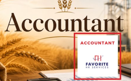 Accountant