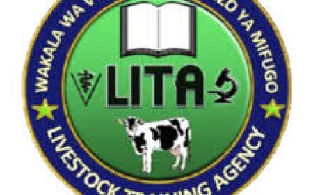 LITA Job Vacancies, 2 Positions — August 2026