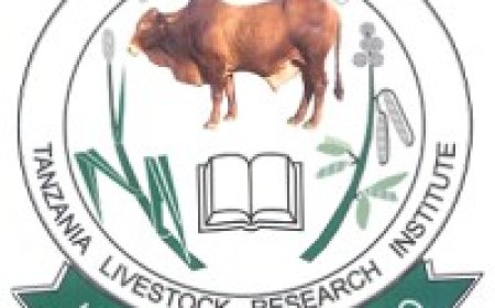 TALIRI Job Vacancies, 21 Positions — August 2026