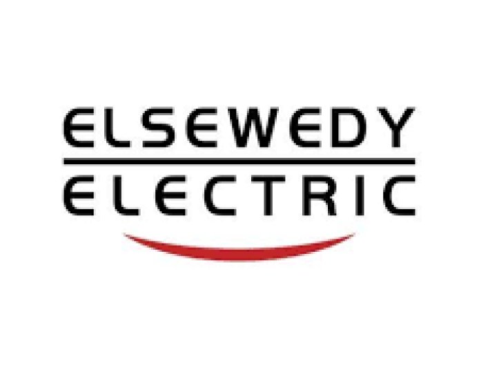 Financial Control Senior Specialist at Elsewedy Electric — August 2026