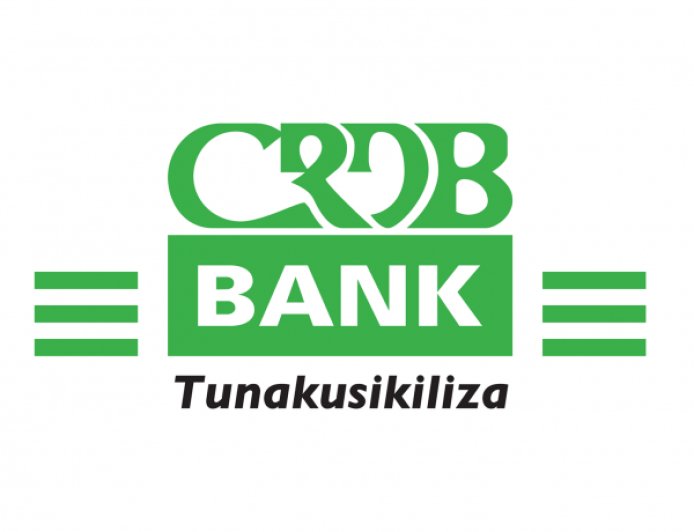CRDB Bank Job Vacancy — Manager IFRS and Islamic Finance Reporting