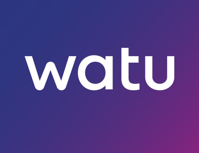 Internal Auditor Job Opportunity at Watu Credit — August 2026