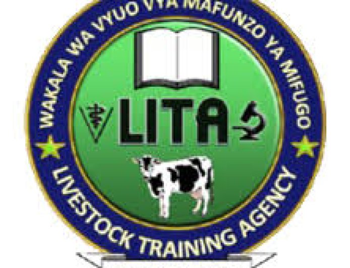 LITA Job Vacancies, 2 Positions — August 2026