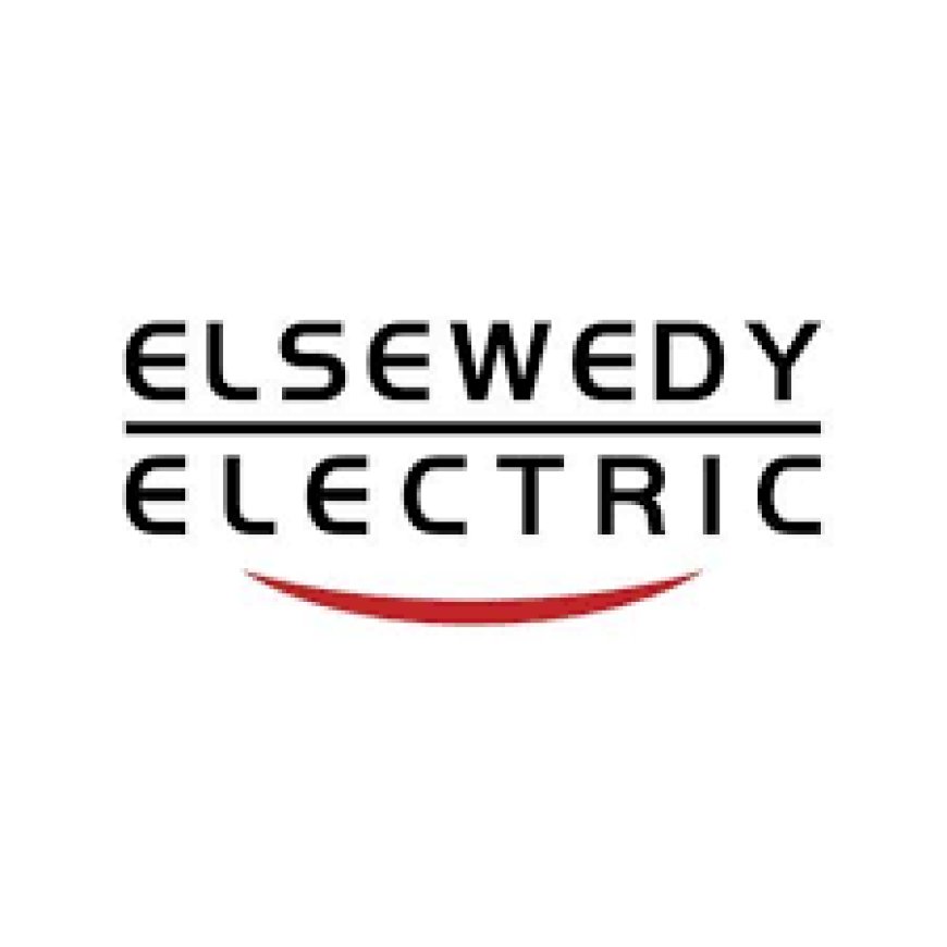 Financial Control Senior Specialist at Elsewedy Electric — August 2026