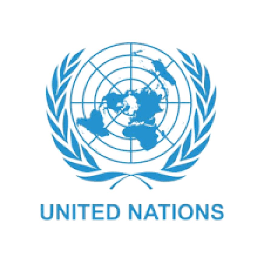 United Nations Job Vacancies, 5 Positions | August 2026
