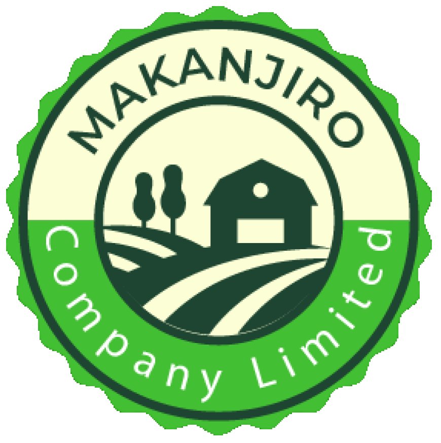 Makanjiro Company Job Vacancy — Office Attendant