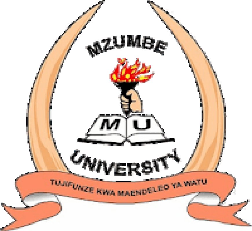 Mzumbe University Job Vacancies, 2 Positions – August 2026