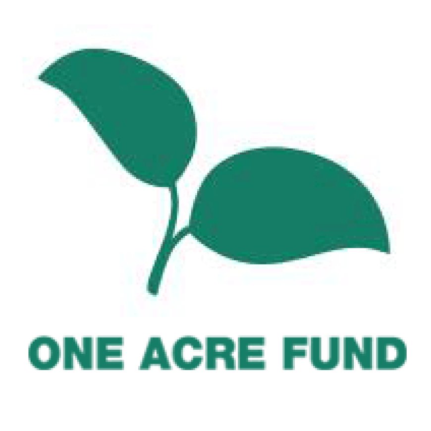 Tree Specialist at One Acre Fund — August 2026