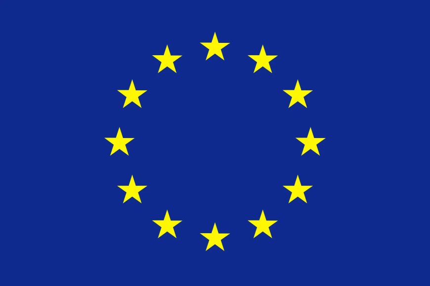Accounts Clerk Job Vacancy at European Union Delegation Tanzania — August 2026