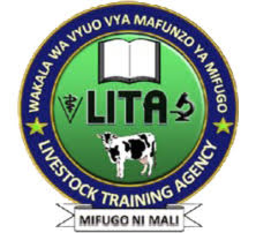 LITA Job Vacancies, 2 Positions — August 2026