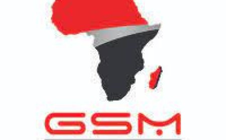 Procurement Officer at GSM Group of Companies