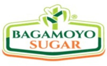 Assistant Nursing Officer at Bagamoyo Sugar Limited