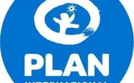Plan International Job Vacancies, 2 Positions