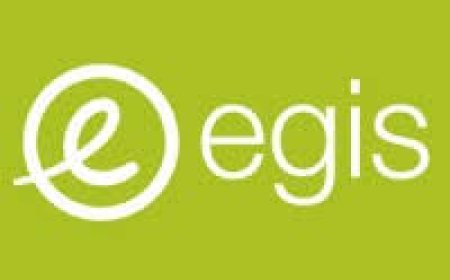 HR Manager at Egis Tanzania