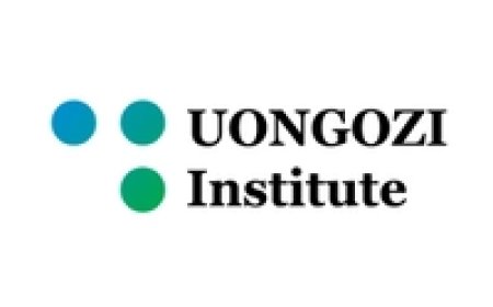 UONGOZI Institute Job Vacancies, 3 Positions — September 2026