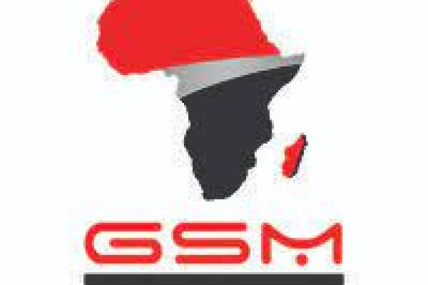 Human Resources Officer at GSM Group