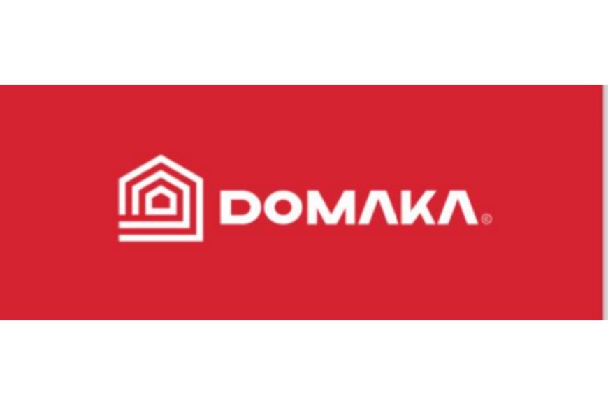 Accountant Job Opportunity at DOMAKA
