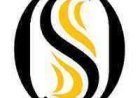 Human Resources Manager