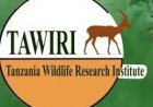 TAWIRI Job Vacancies, 2 Positions