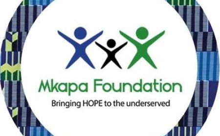 Regional Programme Officer at Benjamin William Mkapa Foundation