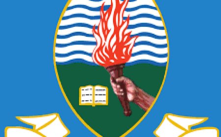 UDSM Job Vacancies,5 Positions