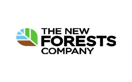 Plantation Manager for New Land at The New Forests Company