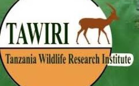 TAWIRI Job Vacancies, 2 Positions
